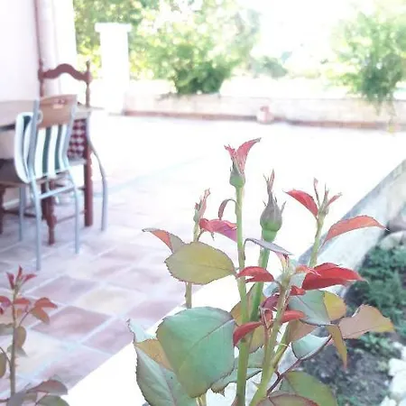 Kefalonia * Dhorizata